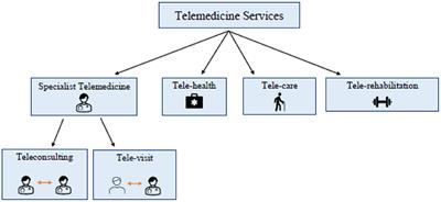 EU-Funded Telemedicine Projects – Assessment of, and Lessons Learned From, in the Light of the SARS-CoV-2 Pandemic